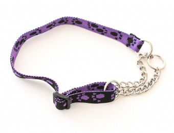 Lila-svart-halsband-till-valpar-och-katter.png-1368x912-web4