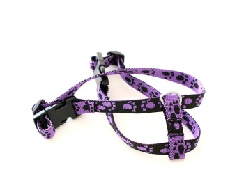 Smahund-valp-och-kattsele.png-1450x967-web4